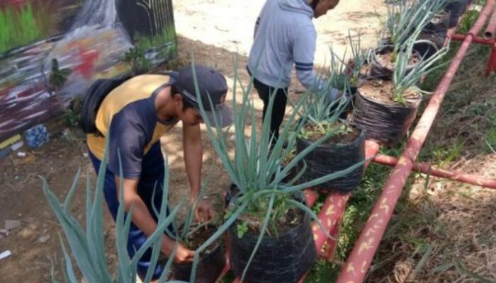 Karang Taruna Joglo Tangkal “Bank Keliling” dengan Polybag