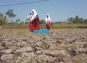 Pemkab Garut Tetapkan Status Darurat Kekeringan