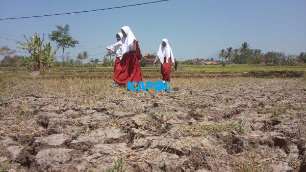 Pemkab Garut Tetapkan Status Darurat Kekeringan Kapol Id