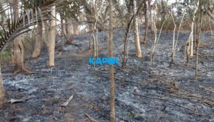 Kebakaran Kebun, Warga di Cikawung Meninggal