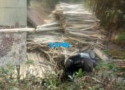 Kijang Terjun di Gentong, Timpa Rumah Pemotongan Kayu