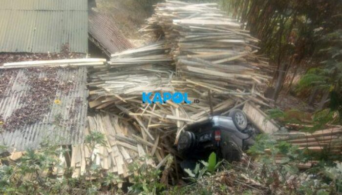 Kijang Terjun di Gentong, Timpa Rumah Pemotongan Kayu