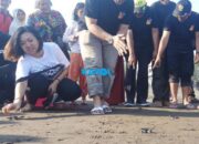 KPBL Batuhiu Lepasliarkan Puluhan Tukik Jenis Penyu Hijau