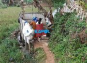 Warga Manfaatkan Kubangan Dapatkan Air