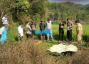 Warga Godebag Ditemukan Tak Bernyawa, Telungkup di Sawah