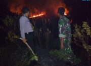 Kebun Karet di Cipatujah Tasikmalaya Kebakaran