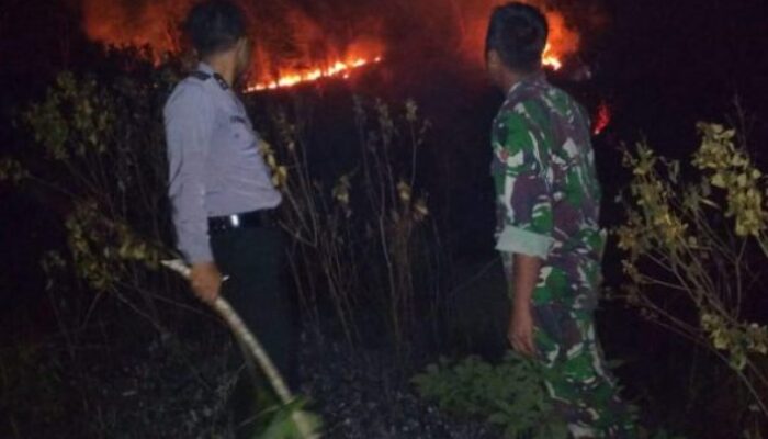 Kebun Karet di Cipatujah Tasikmalaya Kebakaran