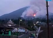 Gunung Cikuray Terbakar
