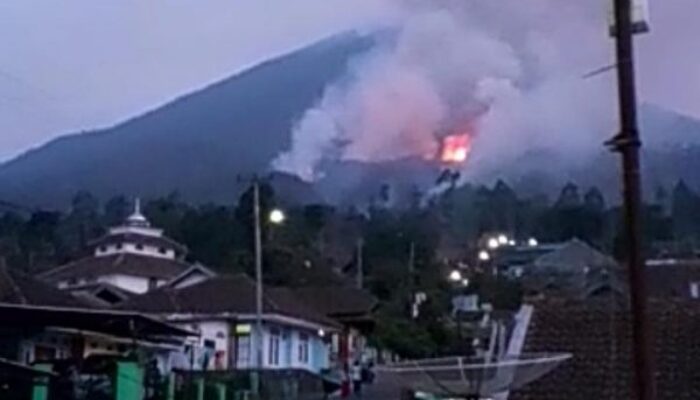 Gunung Cikuray Terbakar