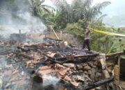 Ditinggal ke Sawah Rumah Rata Dengan Tanah