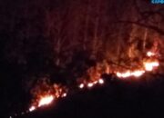 Lahan Perhutani di Blok Cinangsi Tasikmalaya Kebakaran