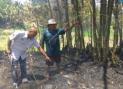 Seorang Kakek Tewas Terbakar di Kebun Bambu