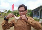 Gigi Hiu Purba Ditemukan di Kawasan Wisata Bodyrafting