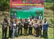 Refleksi 1000 Pohon di Atas Angin Darmacaang