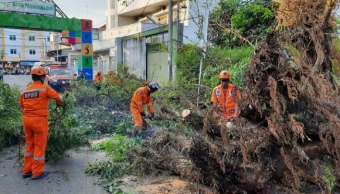Tumbang, Pohon Makan Korban Jiwa