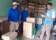 Ekspor Perdana Mangga Gedong Gincu dan Harumanis