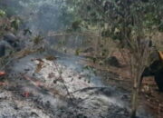 Kebakaran di Taman Nasional Gunung Ciremai