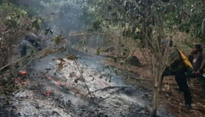 Kebakaran di Taman Nasional Gunung Ciremai
