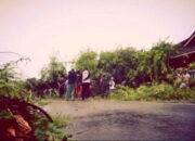 Pohon Beringin Direkomendasikan Jadi Peneduh Jalan