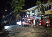 Dua Kecamatan Terdampak Satu Pohon Tumbang