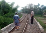 Hindari KA Serayu, Warga Rajapolah Lompat dari Jembatan