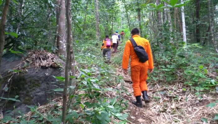 Korban Tersesat di Gunung Pasir Nangkod, Masih Dalam Pencarian