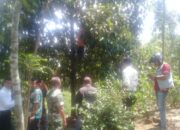 Pamit Hendak Beli Obat, Ditemukan Tewas Tergantung