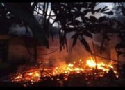 Tabung Gas Bocor dan Meledak, Tiga Rumah HangusTerbakar