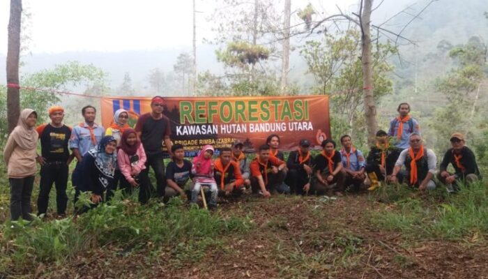 Zabra, Reforestasi Kawasan Hutan Bandung Raya