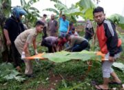 Geger, Ditemukan Mayat Pria di Cimanggung
