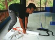 Cara Murah Hindari Ular Kobra