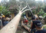 Hujan Deras dan Angin Kencang Mengakibatkan 8 Rumah Rusak