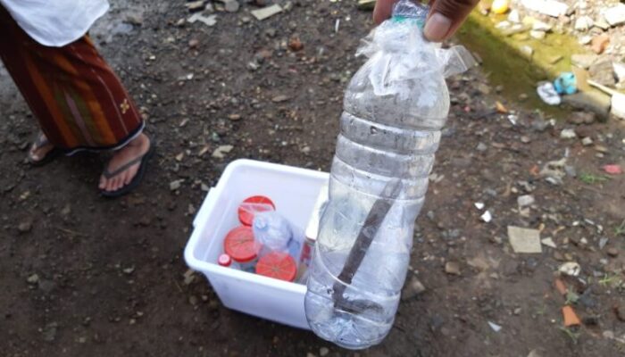 Santri Pesantren Condong Amankan 17 Ular Kobra