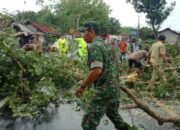Pohon Roboh Menimpa Dua Rumah di Kota Banjar