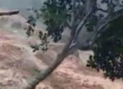 FPI Garut Kirim Relawan ke Jasinga