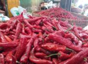 Cabai Inul Bergoyang di Pasar Ciawitali Garut, Naik 100%