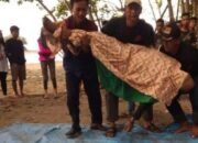 Korban Tenggelam di Pantai Cijeruk Garut Sempat Dikaitkan Mitos Baju Hijau Kesukaan Nyi Roro Kidul