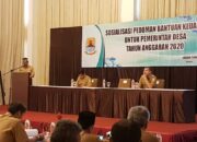 Asyik, Alokasi Dana Desa Tahun Anggaran 2020 Cair Euy!