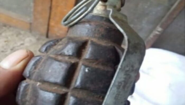 Dikira Nanas, Ternyata Granat Buatan Amerika