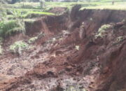 Dua Hektare Sawah Tertimbun Longsor