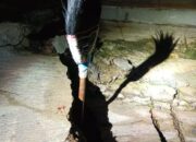 Pergerakan Tanah di Cisarua, Dinding Rumah Retak 