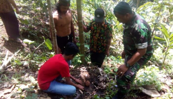 Muncang Berkarat Ditemukan Warga Cineam