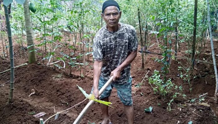Komunitas Rumah Pangan Lestari: Bergerak Menanami Halaman Rumah