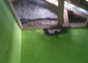 Tersambar Petir, Atap Dua Rumah Terbelah