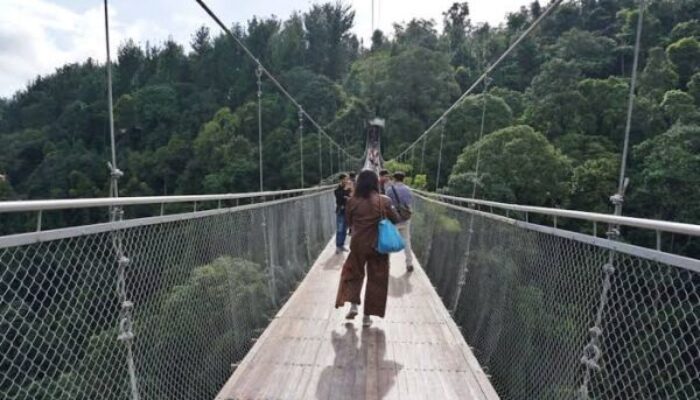 Sensasi Jembatan Gantung Menuju Curug Sawer Sukabumi
