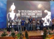 Paguyuban Koi Galuh Ukir Prestasi di Jatim