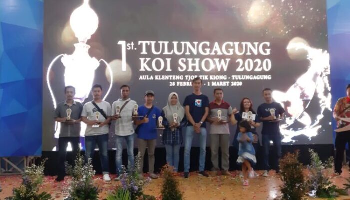 Paguyuban Koi Galuh Ukir Prestasi di Jatim