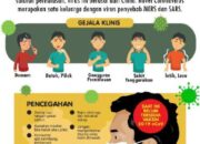 Kenali Covid-19 Serta Pencegahannya