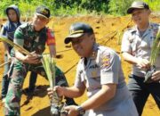 Rawan Longsor, Jalur Gentong Tasikmalaya Ditanami Rumput Vetiver