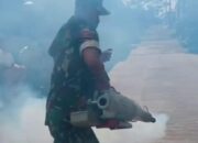 Miris, COVID-19 Gencar Ditangani, DBD Terabaikan